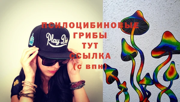 ПСИЛОЦИБИНОВЫЕ ГРИБЫ Богородск