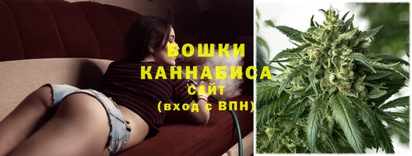 ПСИЛОЦИБИНОВЫЕ ГРИБЫ Богородск