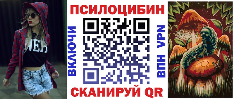 где продают наркотики  Нижнекамск  Псилоцибиновые грибы Psilocybe 